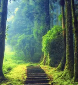 Jiwaji Ganj Park, Morena, Madhya Pradesh - Vushii.com Jiwaji Ganj Park, Morena, Madhya Pradesh - Vushii.com